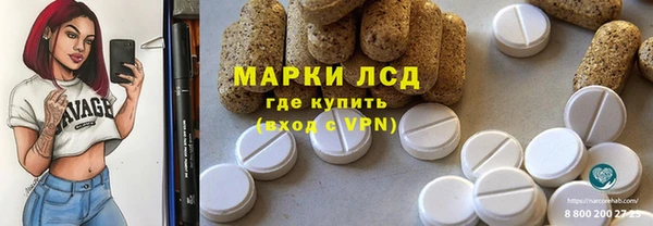 ГАЛЛЮЦИНОГЕННЫЕ ГРИБЫ Аркадак