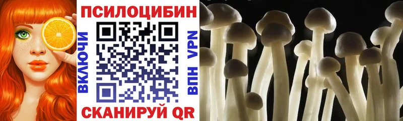 купить наркоту  ссылка на мегу зеркало  Псилоцибиновые грибы GOLDEN TEACHER  Гуково 