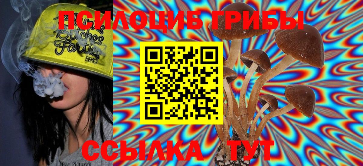 Галлюциногенные грибы прущие грибы  Вход с VPN  Псилоцибиновые грибы MAGIC MUSHROOMS  Гуково 